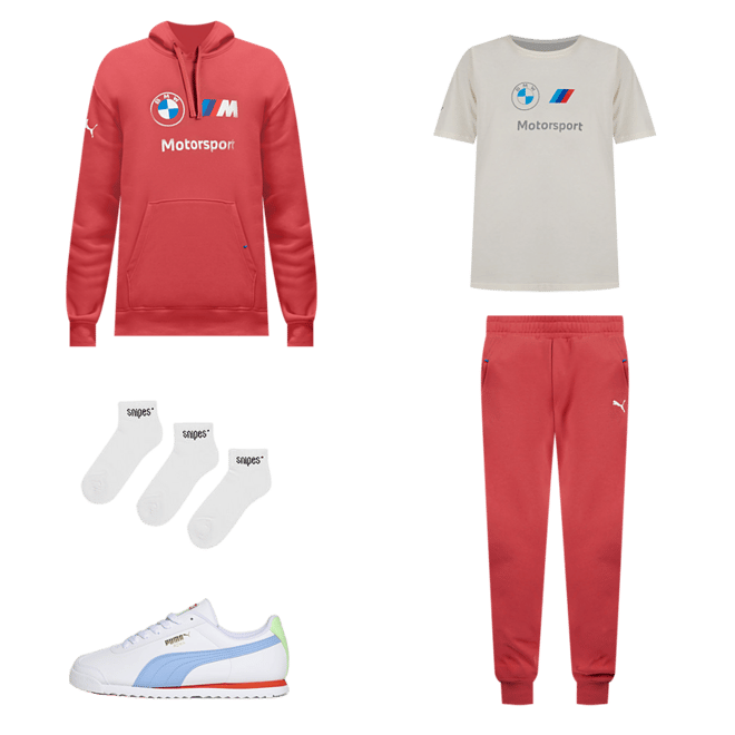 Shop PUMA BMW Motorsport Essential Fleece Pants 62130210 red 
