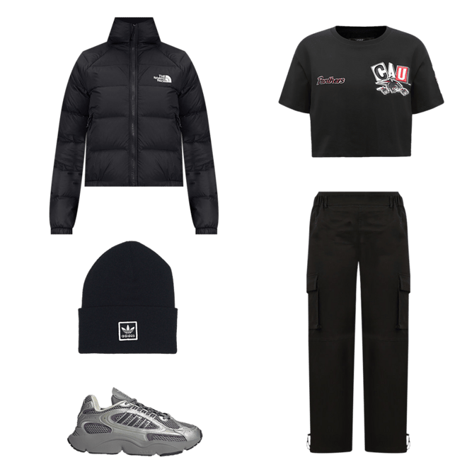 Shop The North Face | Hyalite Down Hoodie black NF0A5GGG-JK3 USA SNIPES