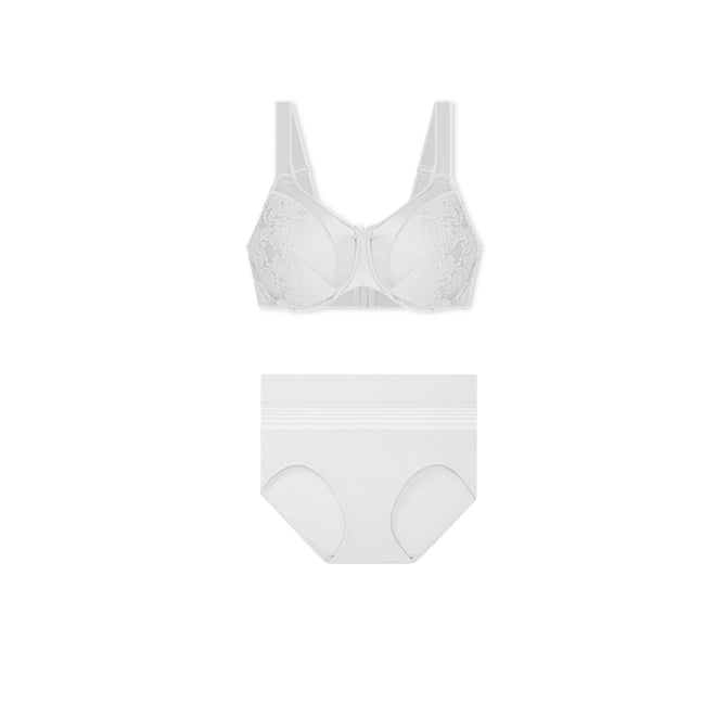 Women's Warner's RS1501P No Pinching. No Problems. Seamless Brief Panty  (Artic Ice M) 