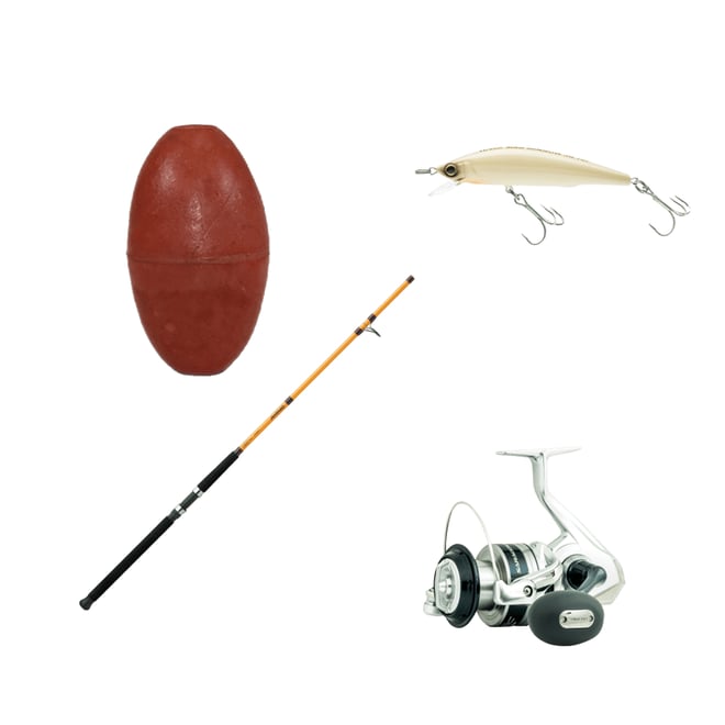 DAIWA - FMY Daiwa FT Surf Spinning Rod | Dick's Sporting Goods