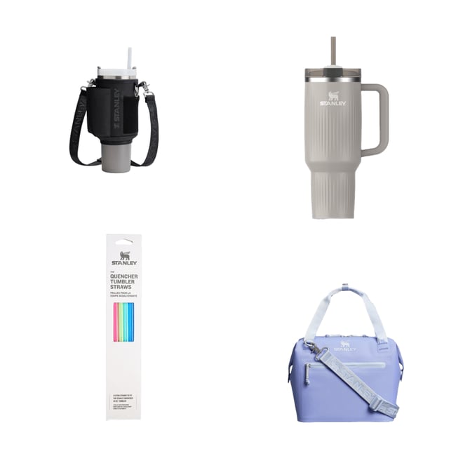 Stanley All Day Julienne Mini Cooler | DICK'S Sporting Goods