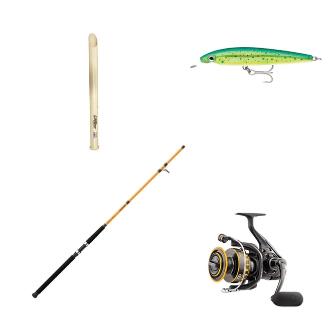 Daiwa FT Surf Spinning Rod | Dick's Sporting Goods