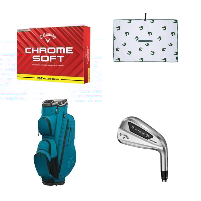 Callaway Apex Ai200 Irons | Golf Galaxy