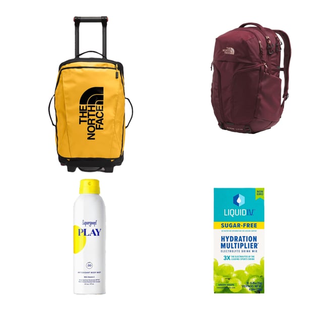 The North Face Women's Surge Luxe Backpack | Dick's Sporting