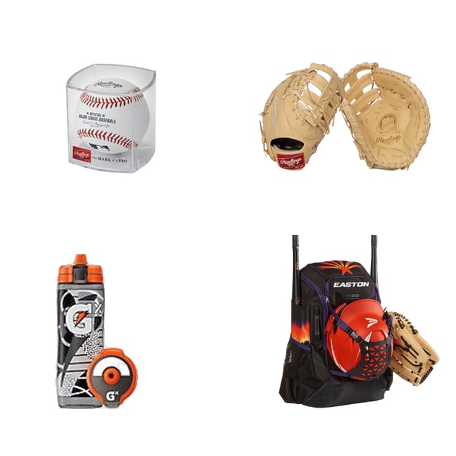 Rawlings MLB Official Game Baseball w/ Display Case | Dick's