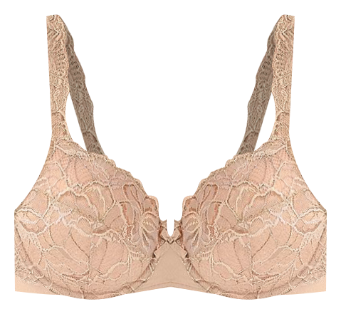 Bali® Lace Desire® Full-Figure Underwire Bra 6543