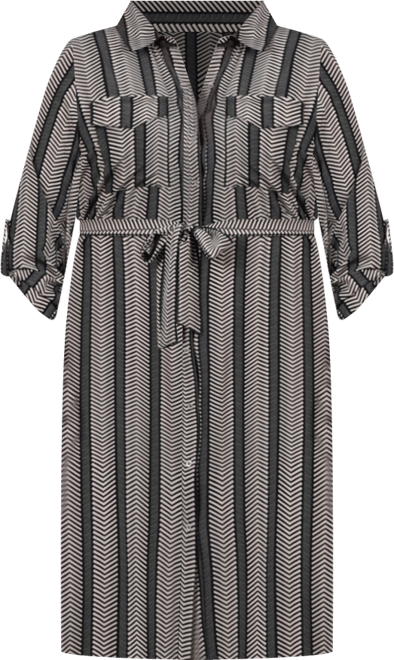 Plus Size Printed Shirt Dress