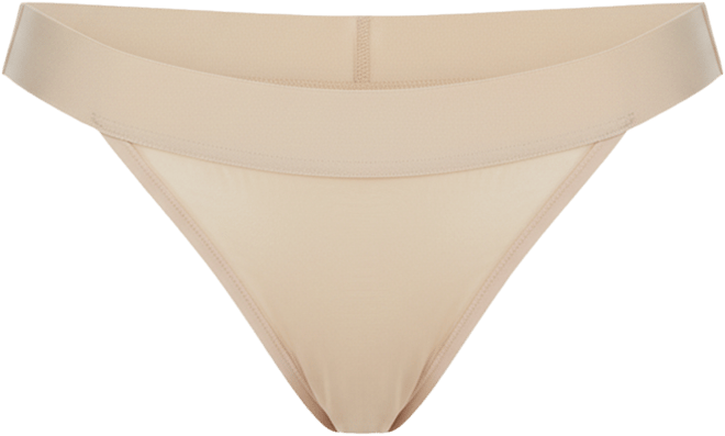 Women's Sheer Bikini Underwear DK8945