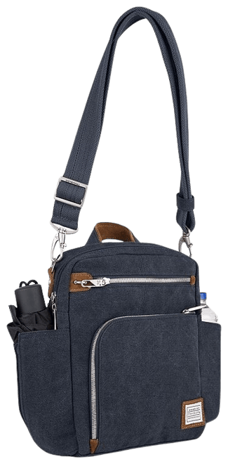 Travelon heritage best sale tour bag