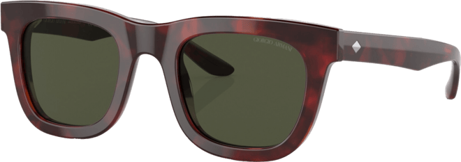 Men's Sunglasses, AR817149-x