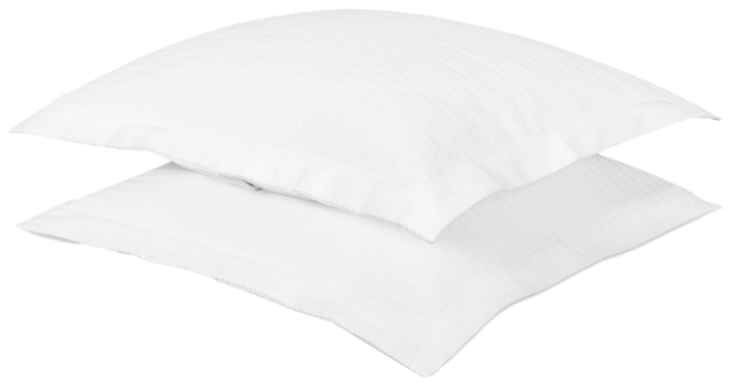 Waves Euro Sham Set of 2