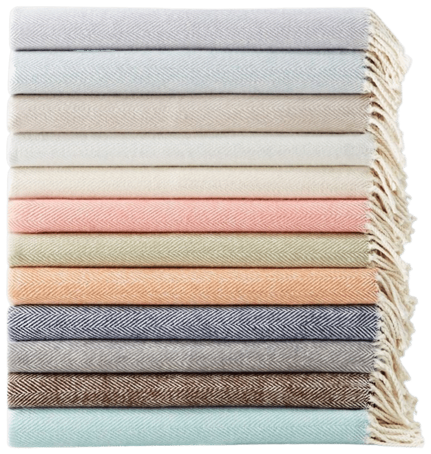 Northern Nights Egyptian Cotton 2-pc Bath Sheet Towel Set 