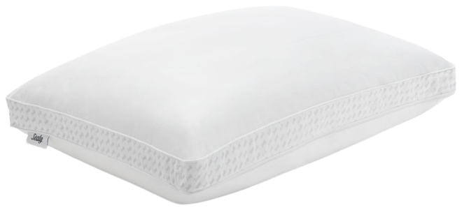 Sealy down alternative & deals memory foam pillow