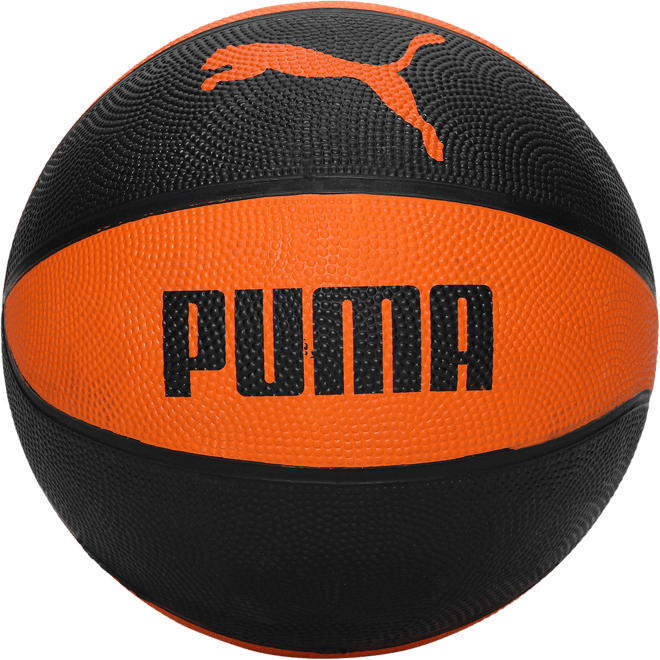 PUMA Indoor Basketball
