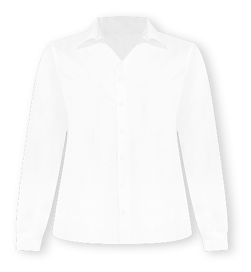 Women's Wrinkle Free No Iron Button Front Shirt