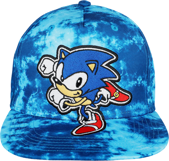 Sonic the Hedgehog Fan Made Items 20