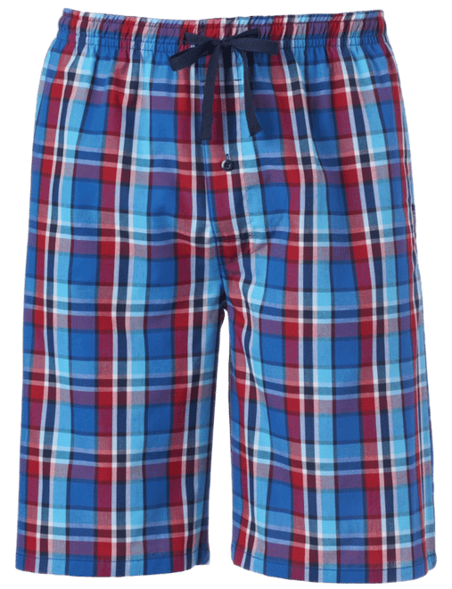 Men's Hanes® Classics 2-pack Plaid Woven Jams Sleep Shorts