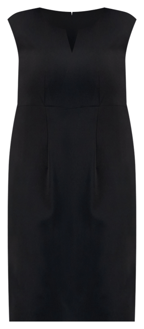 Plus Size Sleeveless Sheath Dress