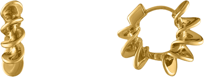 The Arlig Stainless Steel Earrings