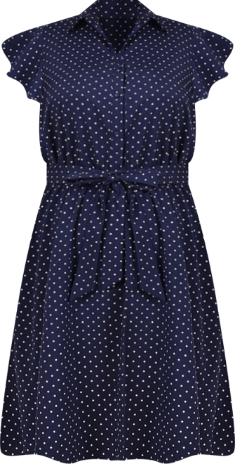 Plus Size Flutter Sleeve Belted Dress