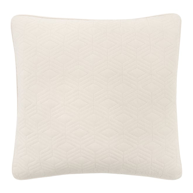 Jcpenney euro outlet pillows