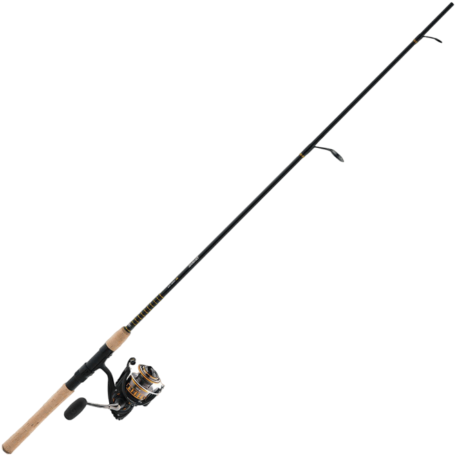 Daiwa BG Saltwater Inshore Systems Spinning Combo | Dick's