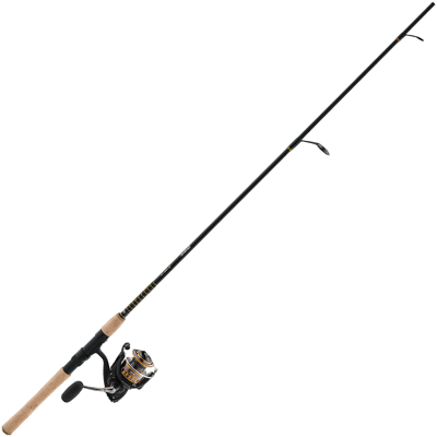 daiwa 2000 abs spinning reel Daiwa BG2000 BG Saltwater Spinning Reel