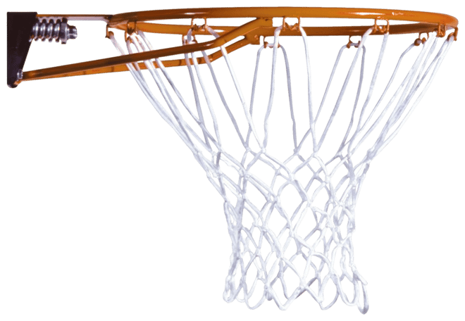 Lifetime Slam-It Basketball Rim