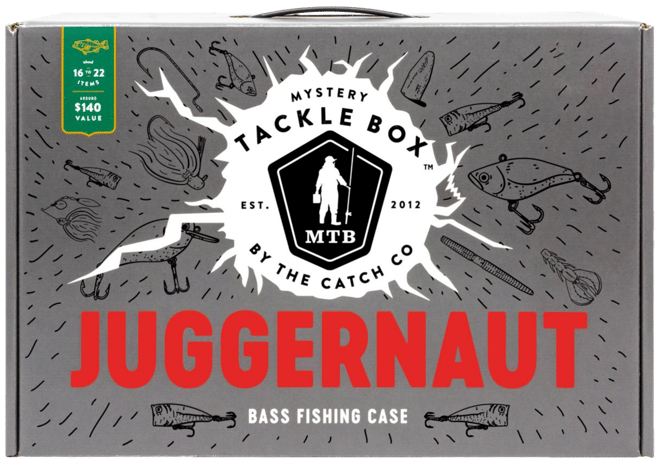 best fly box for flats fishing JHFLYCO Loaded Foam fishing-cases FINS Hollow Core Braided Color:Chartreuse TippedSilver Flake a combination of dense