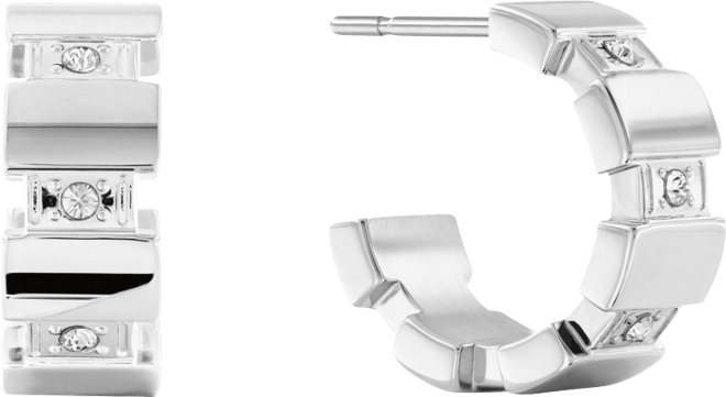 Crystal Link Earrings