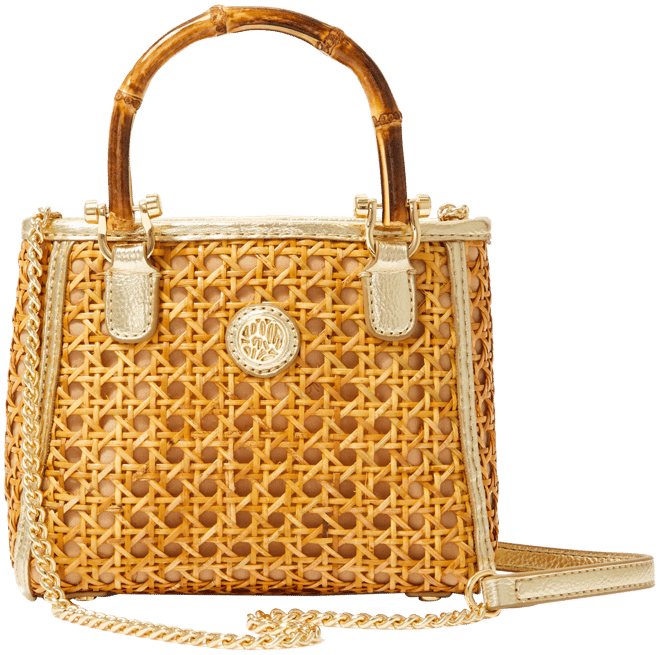 Adrian Cane Mini Bag