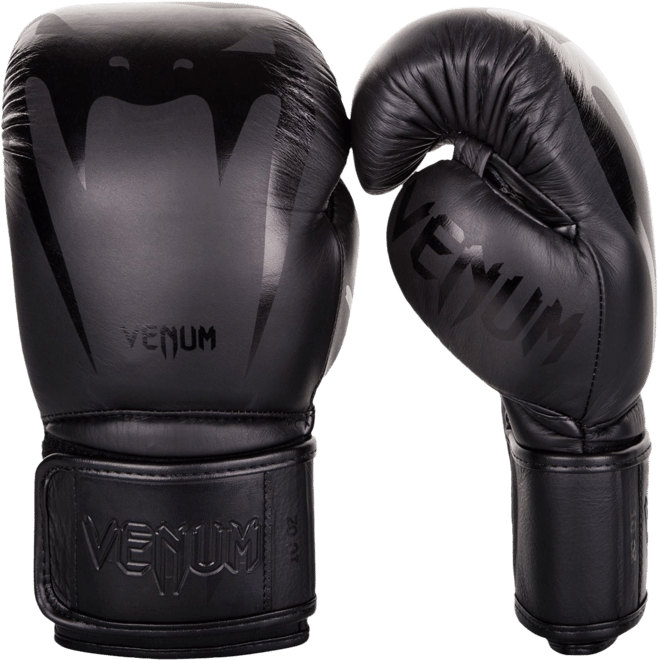 Venum Giant 3.0 Boxing Gloves | Dick's Sporting Goods