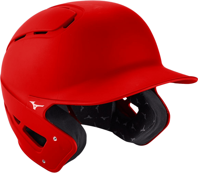 Mizuno MZM-110 Pro Maple Bat | Dick's Sporting Goods
