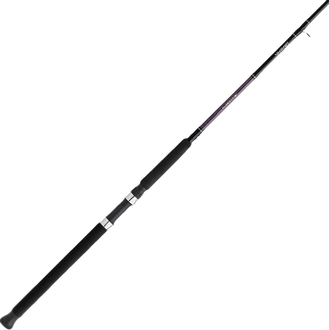 Daiwa Laguna LT Spin Reel | Dick's Sporting Goods