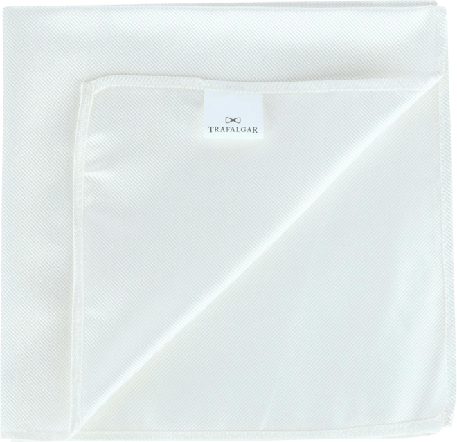 Men's The Gatsby 12 inch Solid Silk Pocket Square