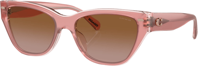 Women's Sunglasses, HC8370U
