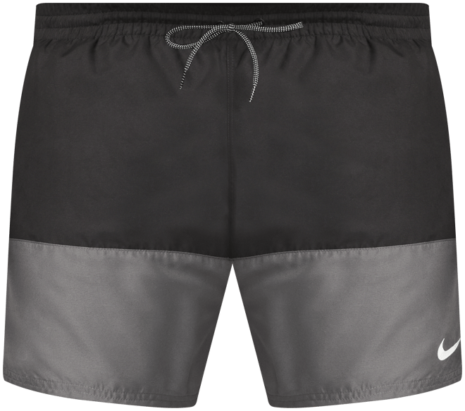 Nike Men's 5" Swim Volley Shorts (Plus Size)