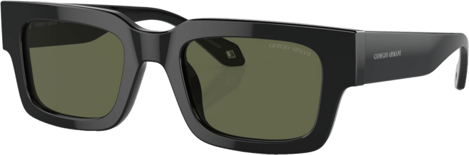 Men's Polarized Sunglasses, AR8184U52-p 52