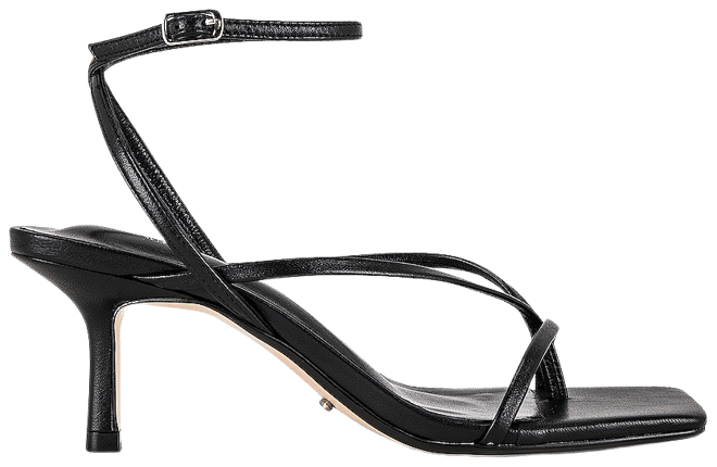 Avi Sandal