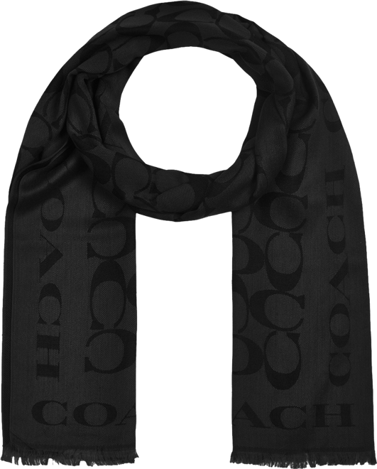 Women's Signature Border Scarf