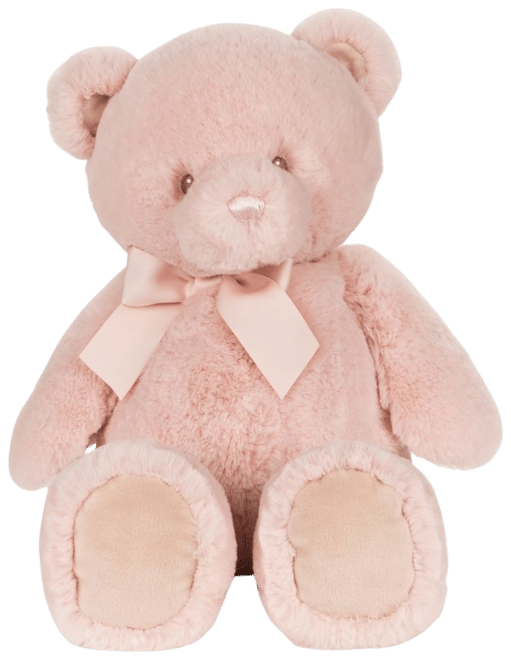 Baby's first teddy clearance bear