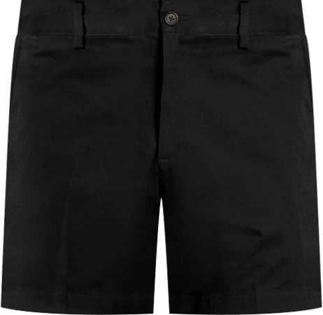 Men's No Iron 6" Comfort Waist Plain Front Chino Short