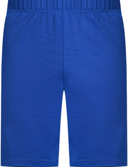 Men's Mesh Gym Shorts