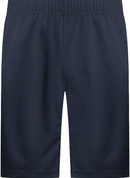 Men's Mesh Gym Shorts