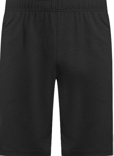 Men's Mesh Gym Shorts