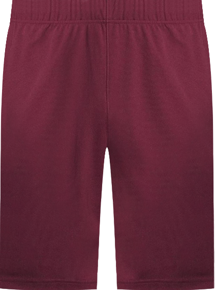 Men's Mesh Gym Shorts