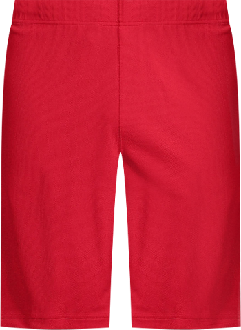 Men's Mesh Gym Shorts