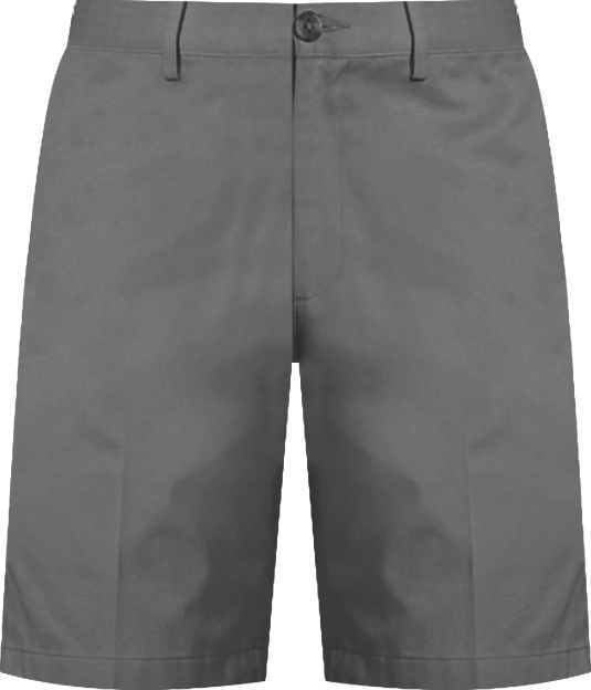 Men's 11" Plain Front Blend Chino Shorts