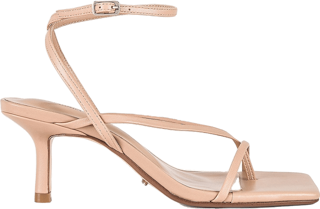 Avi Sandal