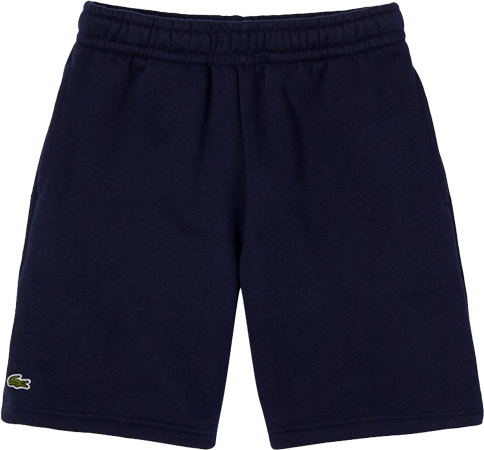 Lacoste shorts clearance boys